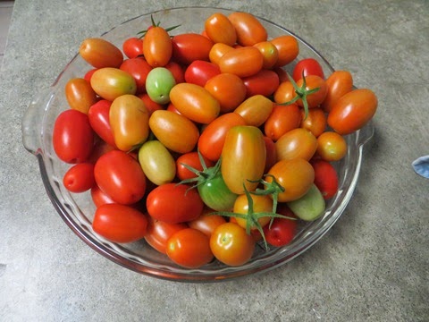[20140524_Tomatoes%255B6%255D.jpg]