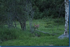 IMG_0992 IMG_0992