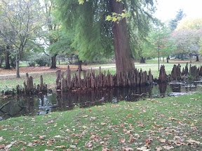 2010-10-23 11.29.25.jpg