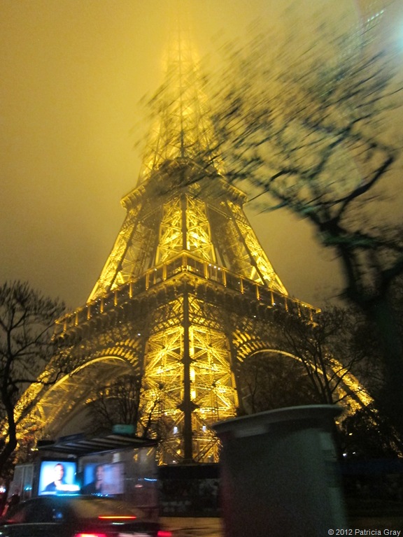 [IMG_1711Paris-Jan-2012_7569.jpg]