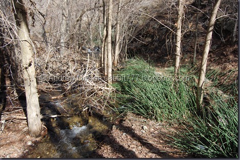DSC_0965 DSC_0965