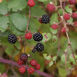 DSC00882.JPG
