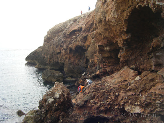 2012_08160011.jpg