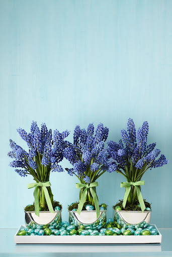 I love the idea of using blue in a floral centerpiece, especially muscari for spring. It's unexpected and looks beautiful and modern. I used chic silver appetizer bowls as containers and grouped them in a tray. Naturally, I filled the tray with foil covered candy. I love the idea of using blue in a floral centerpiece, especially muscari for spring. It's unexpected and looks beautiful and modern. I used chic silver appetizer bowls as containers and grouped them in a tray. Naturally, I filled the tray with foil covered candy.