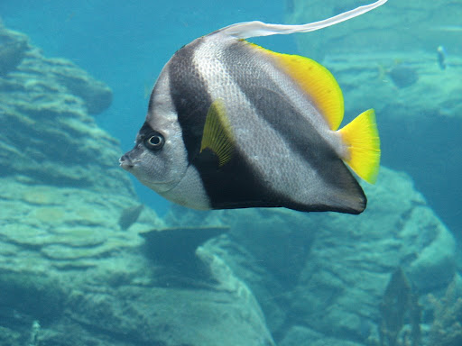 uShaka Marine World