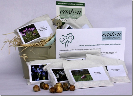 EWG bulb gift box 2012 (2).jpg document size EWG bulb gift box 2012 (2).jpg document size