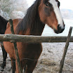 PALU NEIGE 019.JPG