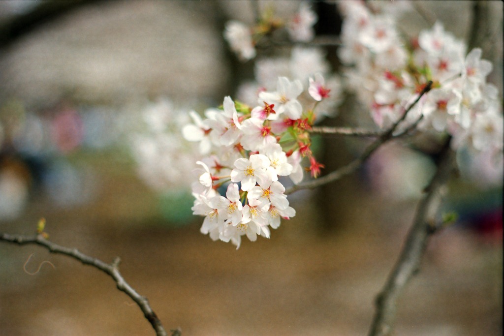 [IMG_0011%255B3%255D.jpg]