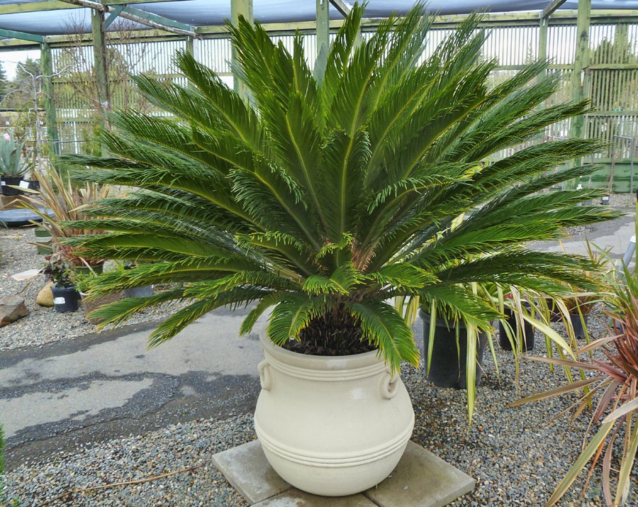 [120328_Capital_Nursery_15%255B3%255D.jpg]
