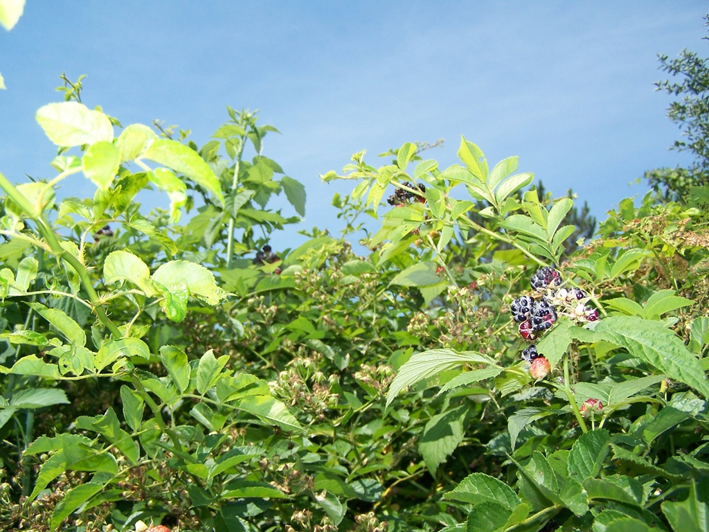 [100_2115%255B4%255D.jpg]