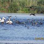 IMG_3779.JPG