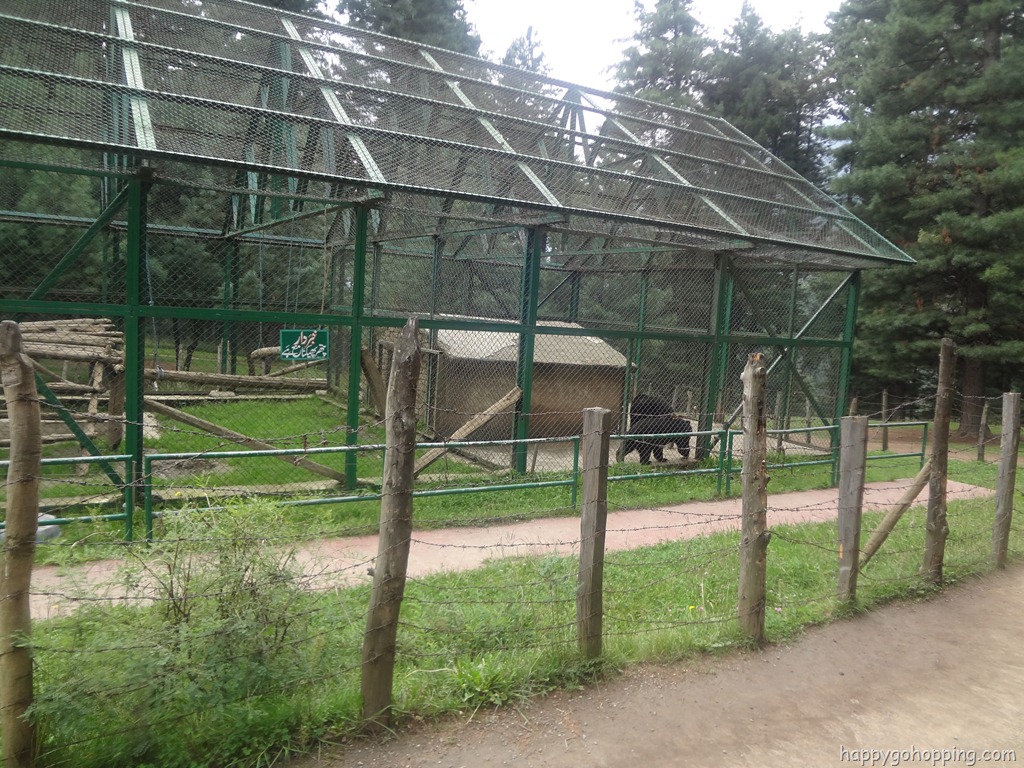 [DSC00570%255B6%255D.jpg]