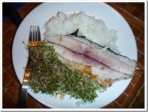 BBQd Bonito with fresh sprouts and rice