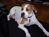 Breezy's First Day Home