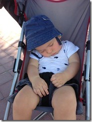 IMG_0250 IMG_0250