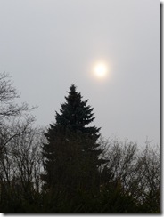 Ps smělý a jiné 122 Ps smělý a jiné 122