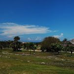 DSC_8690.JPG