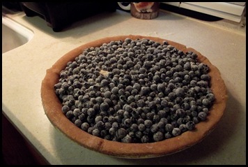 Blueberry pie 006
