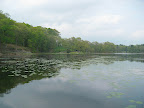 There is a bridge crossing the lake, and this photo is taken looking back toward the garden. You can continue walking all the way around - you'll come across a very large water jet, then just woods for several hundred yards, until you reach the summer house and a glorious grove of smoke trees.