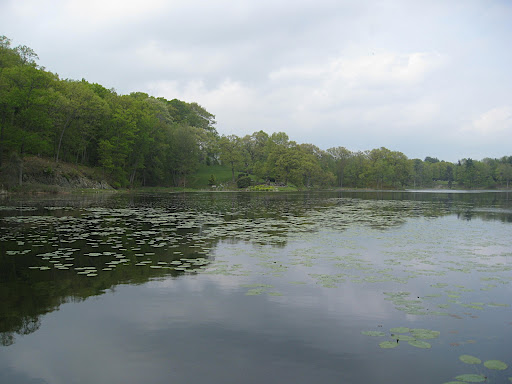 There is a bridge crossing the lake, and this photo is taken looking back toward the garden. You can continue walking all the way around - you'll come across a very large water jet, then just woods for several hundred yards, until you reach the summer house and a glorious grove of smoke trees.