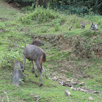 IMG_1872.JPG