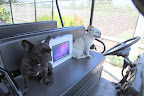 You know, Shaun has been wanting a new computer in the greenhouse for quite some time and I'm so glad that we can present him with this new Macbook Pro laptop!