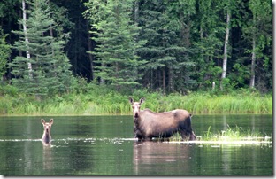 Moose 1&2   45.5Mi.Pond 8-1-2011 12-03-22 PM 2642x1696