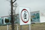IMG_6416.JPG