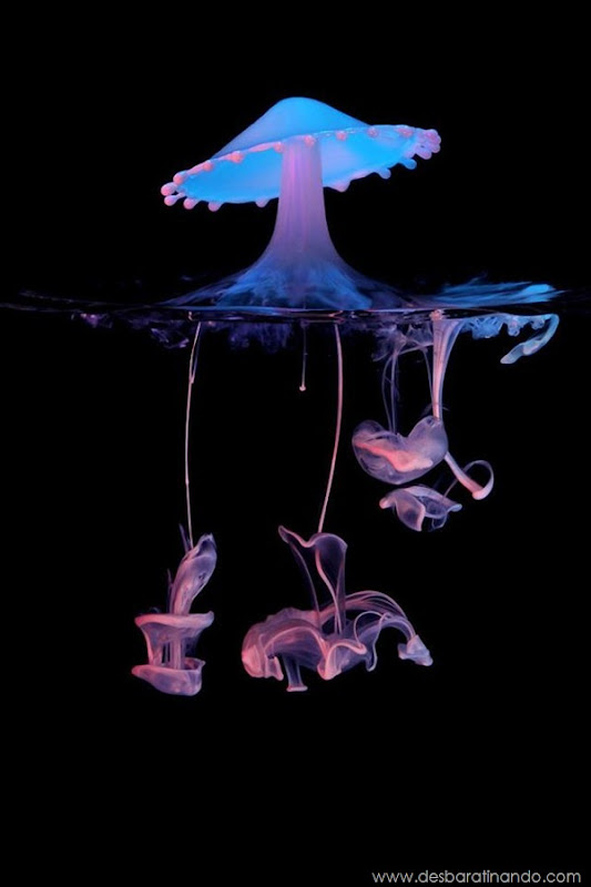 liquid-drop-art-gotas-caindo-foto-velocidade-hora-certa-desbaratinando (194) liquid-drop-art-gotas-caindo-foto-velocidade-hora-certa-desbaratinando (194)