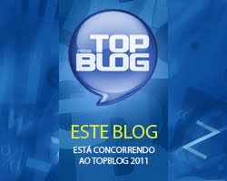 top_blog2011