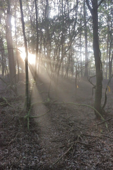 2014_1005_061904 2014_1005_061904