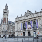 DSC_3383.jpg