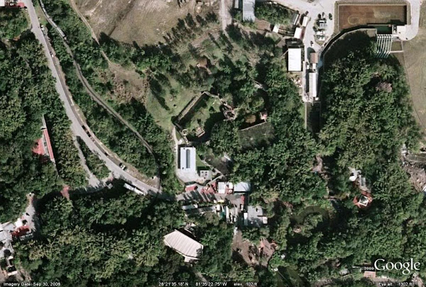 AnimalKingdom3.jpg