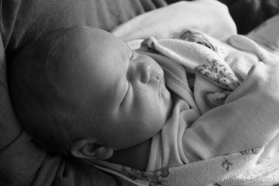 [Oren%255B2%255D.jpg]