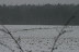  Winterhike: Fotos & Videos