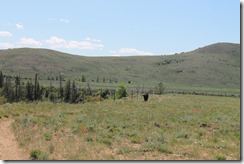 IMG_6579 IMG_6579