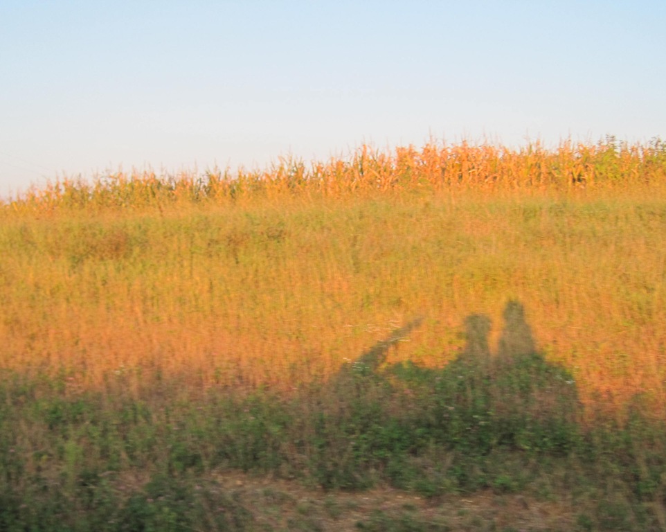 [IMG_7976%255B9%255D.jpg]