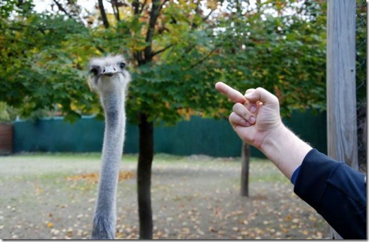 viral-picdump-pics-19