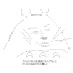 Twitter icon size W73xH73