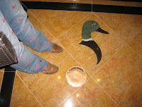 Ducks everywhere at the Peabody