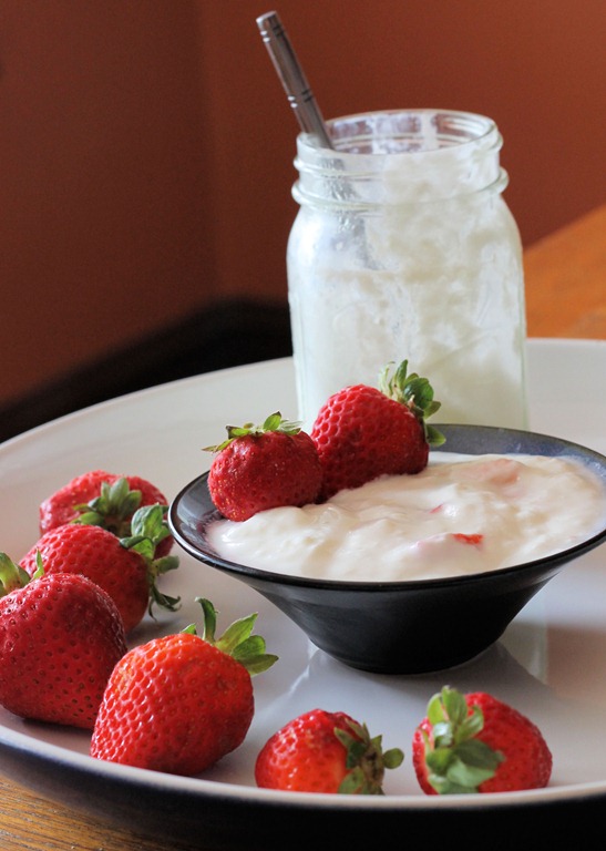 [easy_to_make_homemade_yogurt%255B6%255D.jpg]