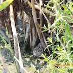 DSCN9508.JPG