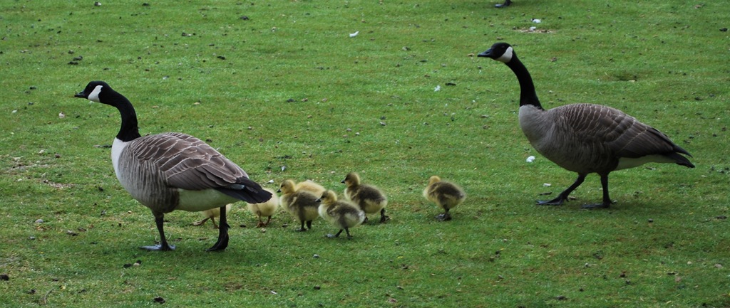 [DSC_0827-001%255B9%255D.jpg]