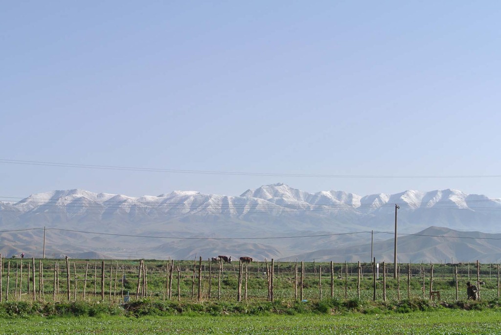 [DSC_32404.jpg]