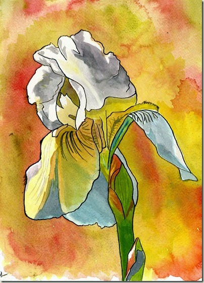 lily495-001 lily495-001
