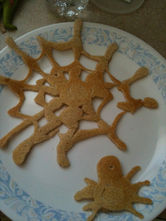 [pancake%2520spider%255B2%255D.jpg]