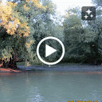 IMG_5754-MOTION.gif