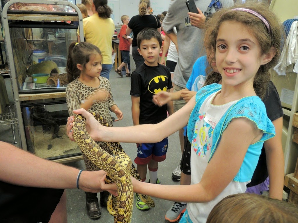 [DSCN9388%255B3%255D.jpg]