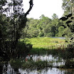 Rainbow Springs State Park-092207-25.JPG