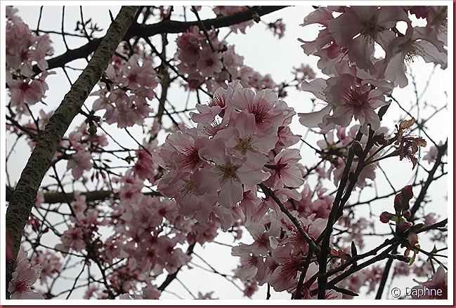 IMG_2325 IMG_2325